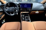 New 2026 Lexus NX 350 AWD w/ Premium Package image 5