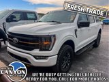 Used 2023 Ford F150 Tremor image 4
