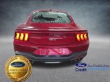 New 2025 Ford Mustang GT Premium image 4