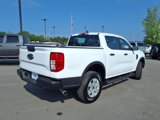 Used 2025 Ford Ranger XL image 3