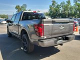 New 2025 Ford F150 Platinum w/ Equipment Group 702A High image 5