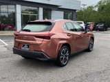 Used 2025 Lexus UX 300h AWD image 5