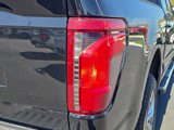 New 2025 Ford F150 XLT w/ Equipment Group 302A MID image 6
