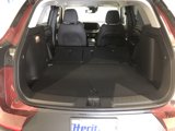New 2025 Chevrolet TrailBlazer LT w/ Convenience Package image 6