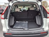 New 2025 Honda CR-V LX image 5