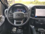 New 2025 Ford F150 XLT image 5