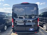 New 2025 Ford Transit 250 148 Medium Roof w/ Load Area Protection Package image 4
