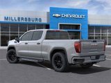 New 2025 GMC Sierra 1500 Pro w/ Graphite Edition image 3
