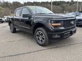New 2025 Ford F150 STX image 2
