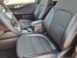 Used 2023 Ford Escape ST-Line Elite image 3