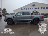 New 2025 Ford F150 XLT image 2