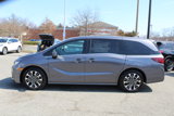 New 2025 Honda Odyssey Elite image 4
