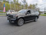 New 2025 Ford Expedition Max Active image 2