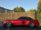 Used 2018 Ford Mustang GT Premium w/ Equipment Group 401A image 6