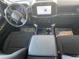 New 2025 Ford F150 STX image 4