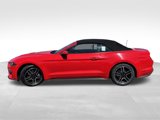 Certified 2023 Ford Mustang Premium image 4