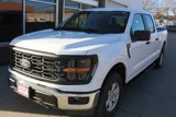 New 2025 Ford F150 XL image 3