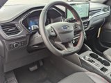 New 2025 Ford Escape ST-Line w/ Tech Pack #1 image 5