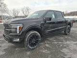 New 2025 Ford F150 Platinum w/ Equipment Group 702A High image 2