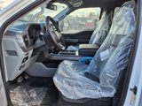 New 2025 Ford F150 XLT w/ Equipment Group 303A High image 5