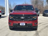 New 2025 Ford F150 XLT w/ Equipment Group 302A MID image 3