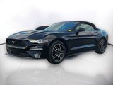 Used 2022 Ford Mustang Premium image 2