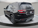 New 2025 Honda Pilot TrailSport image 3
