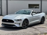 Used 2019 Ford Mustang Premium image 2