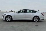 New 2025 Cadillac CT5 Premium Luxury image 6