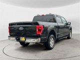 Used 2021 Ford F150 XLT image 3