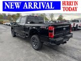 New 2025 Ford F250 XL image 4