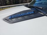 New 2025 Chevrolet Silverado 3500 W/T w/ WT Convenience Package image 5
