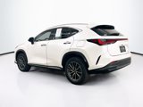 Used 2024 Lexus NX 350 AWD w/ Premium Package image 5