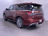 New 2025 INFINITI QX80 Sensory w/ Premium Cargo Package image 3