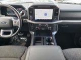 New 2025 Ford F150 XLT w/ Equipment Group 303A High image 2