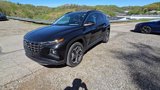 Used 2024 Hyundai Tucson Limited image 2
