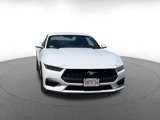 Used 2024 Ford Mustang Premium image 4