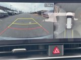 New 2025 Kia Carnival SX image 4