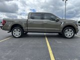 New 2025 Ford F150 Platinum image 5