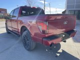 New 2025 Ford F150 XLT image 6