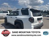 Used 2025 Toyota 4Runner TRD Pro image 5