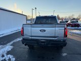 New 2025 Ford F150 Tremor w/ Equipment Group 402A High image 4