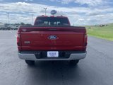 New 2024 Ford F150 XLT w/ Equipment Group 302A MID image 4