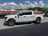 New 2025 Ford F150 XLT w/ Equipment Group 302A MID image 6