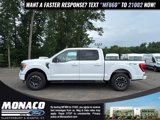 Certified 2023 Ford F150 XLT w/ Equipment Group 302A High image 5