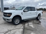 New 2025 Ford F150 XLT w/ Equipment Group 302A MID image 3