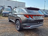 Certified 2025 Hyundai Tucson SEL image 5