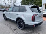 New 2025 Kia Telluride SX Prestige X-Line image 3