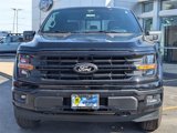 New 2025 Ford F150 XLT w/ Equipment Group 303A High image 2