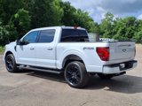 New 2025 Ford F150 Platinum w/ Equipment Group 702A High image 2